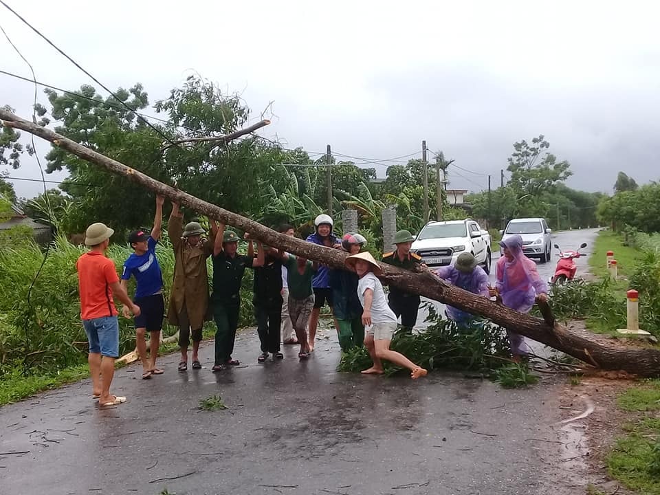 Bão đổ bộ trực tiếp vào Quỳnh Lưu khiến nhiều cây xanh bị ngã đổ. Ảnh: Thanh Toàn.