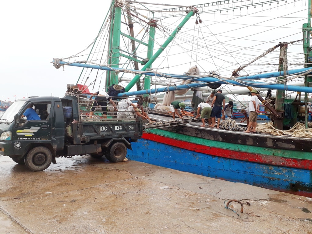 Để vớt lộc biển sau bão, hiện nay hàng trăm tàu cá của ngư dân Quỳnh Lưu cũng đang chuẩn bị nguyên liệu, thực phẩm để ra khơi đánh bắt hải sản. Ảnh: Việt Hùng.