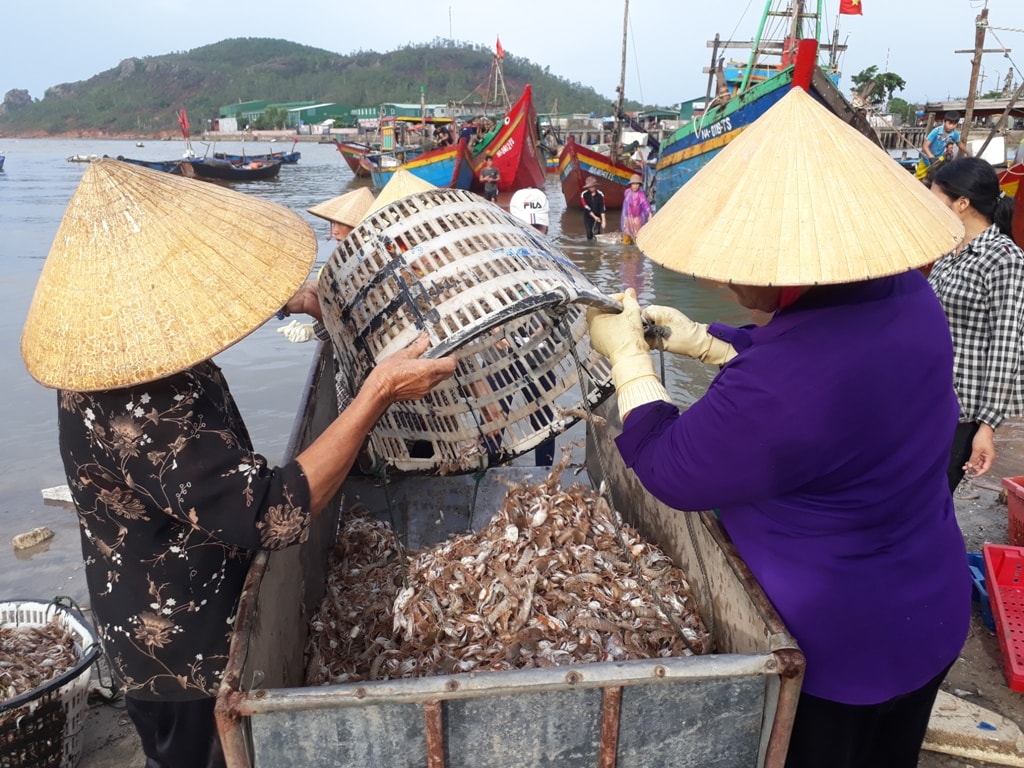 Ngư dân Hồ Mạnh cho biết, sau 2 ngày nghỉ tránh bão, chiều 20/7 tàu của anh ra khơi, sáng nay cập bến với nhiều hải sản, trong đó chủ yếu là tôm tít, ghẹ, cá bơn...; trừ chi phí thu về khoảng 3 triệu đồng. Ảnh: Việt Hùng.