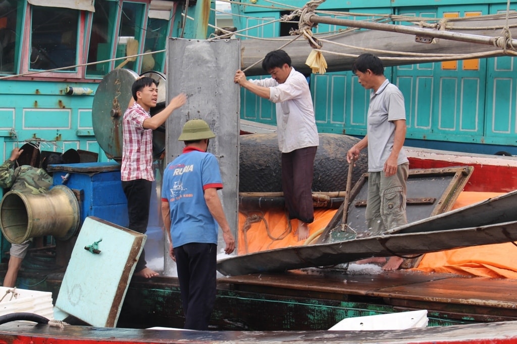 Sau đợt nằm bờ dài ngày tránh trú bão, nhiều tàu cá của ngư dân bị hư hỏng một số thiết bị máy móc. Hiện nay, ngư dân đang khẩn trương khắc phục, sửa chữa các thiết bị để sớm vươn khơi. Ảnh: Việt Hùng.