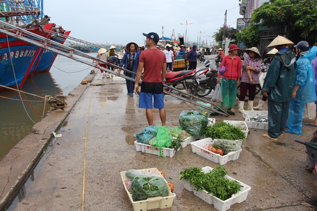 Không chỉ ở Quỳnh Lưu, hơn 600 tàu cá xa bờ của ngư dân TX. Hoàng Mai cũng chuẩn bị ngư lưới cụ, nguyên liệu, thực phẩm để vươn khơi đánh bắt. Ảnh: Việt Hùng.