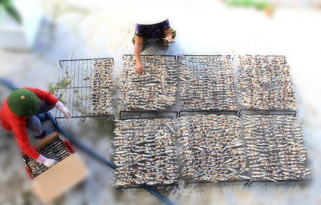 Khoảng độ từ tháng 2 đến tháng 10 âm lịch, những hộ làm nghề nướng cá Quỳnh Lưu hoạt động liên tục bởi thời điểm này cá được mùa. Mỗi lần tàu cập bến, người dân thu mua hàng tấn cá các loại về cấp đông rồi nướng bán dần. Ảnh: Việt Hùng