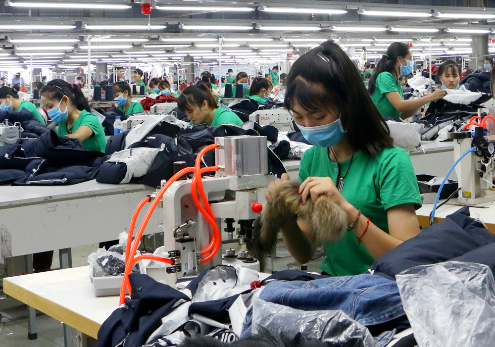 Các công nhân may áo lông vũ được công ty cử đi đào tạo tại nhiều cơ sở nhà may lớn và có uy tín trên địa bàn cả nước. Ảnh: Lâm Tùng