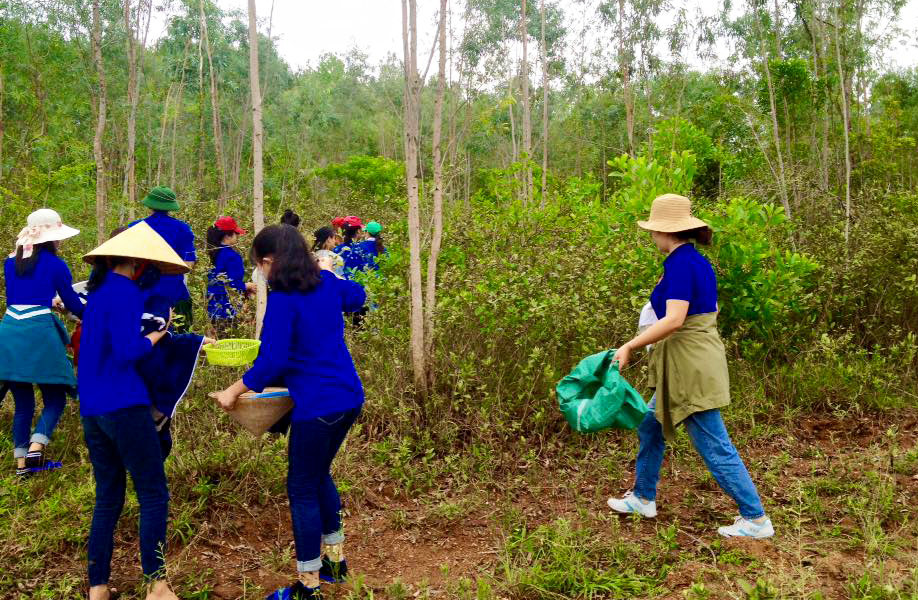 Thanh niên xã Nghi Văn sôi nổi vào rừng hái sim. Ảnh: Huy Thư