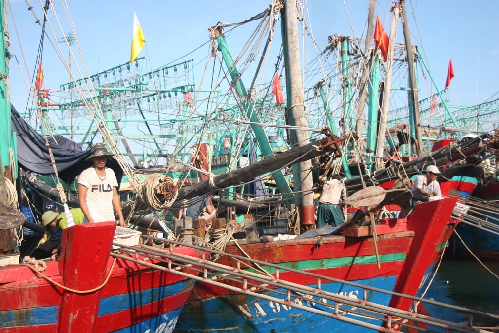 Sau hơn 1 tháng nằm bờ tránh bão và nghỉ trăng, từ ngày 1/8, hàng trăm tàu cá của ngư dân Quỳnh Nghĩa, Quỳnh Long, Quỳnh Thuận, Tiến Thủy, Sơn Hải... đồng loạt ra khơi. Sau khoảng 5 đêm đánh bắt, trong 2 ngày 7 - 8/8 nhiều tàu cập bến với nhiều loại cá. Ảnh: Việt Hùng.