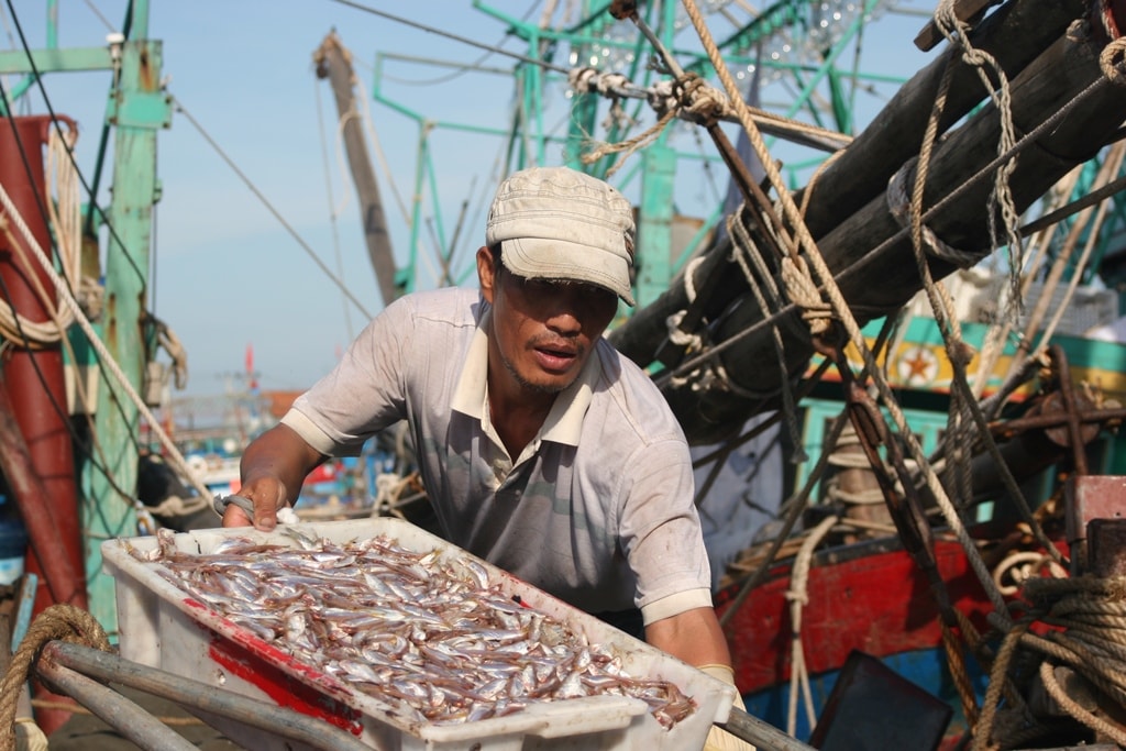 Ngư dân Nguyễn Văn Hòa ở xã Tiến Thủy cho biết: 