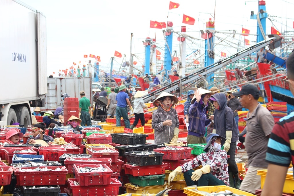 Với hàng trăm tấn cá trỏng được bà con ngư dân đánh bắt về trong những ngày gần đây đã nâng tổng sản lượng khai thác từ đầu năm đến nay lên 34.000 tấn. Theo kế hoạch của huyện, sản lượng khai thác năm 2018 ước đạt từ 58.000 - 60.000 tấn hải sản. Ảnh: Việt Hùng.
