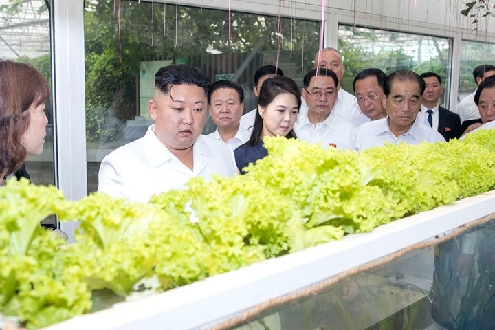 Trong những tháng gần đây, Triều Tiên bận rộn với các hoạt động ngoại giao thay vì những đe dọa chiến tranh hạt nhân như năm 2017 và nội dung những bức ảnh mà quốc gia này công bố cũng có nhiều thay đổi.