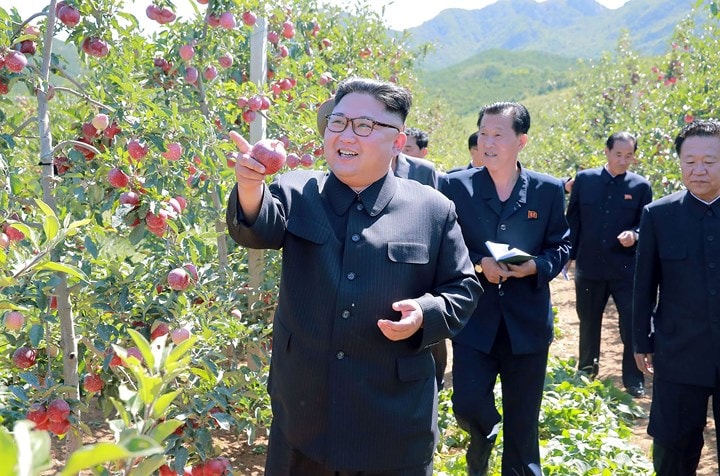 Ông Kim thăm một nông trại trái cây ở huyện Kwail, tỉnh Hwanghae Nam.