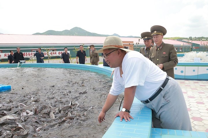 Ông Kim thăm Trang trại cá trê Samchon tại tỉnh Hwanghae Nam.