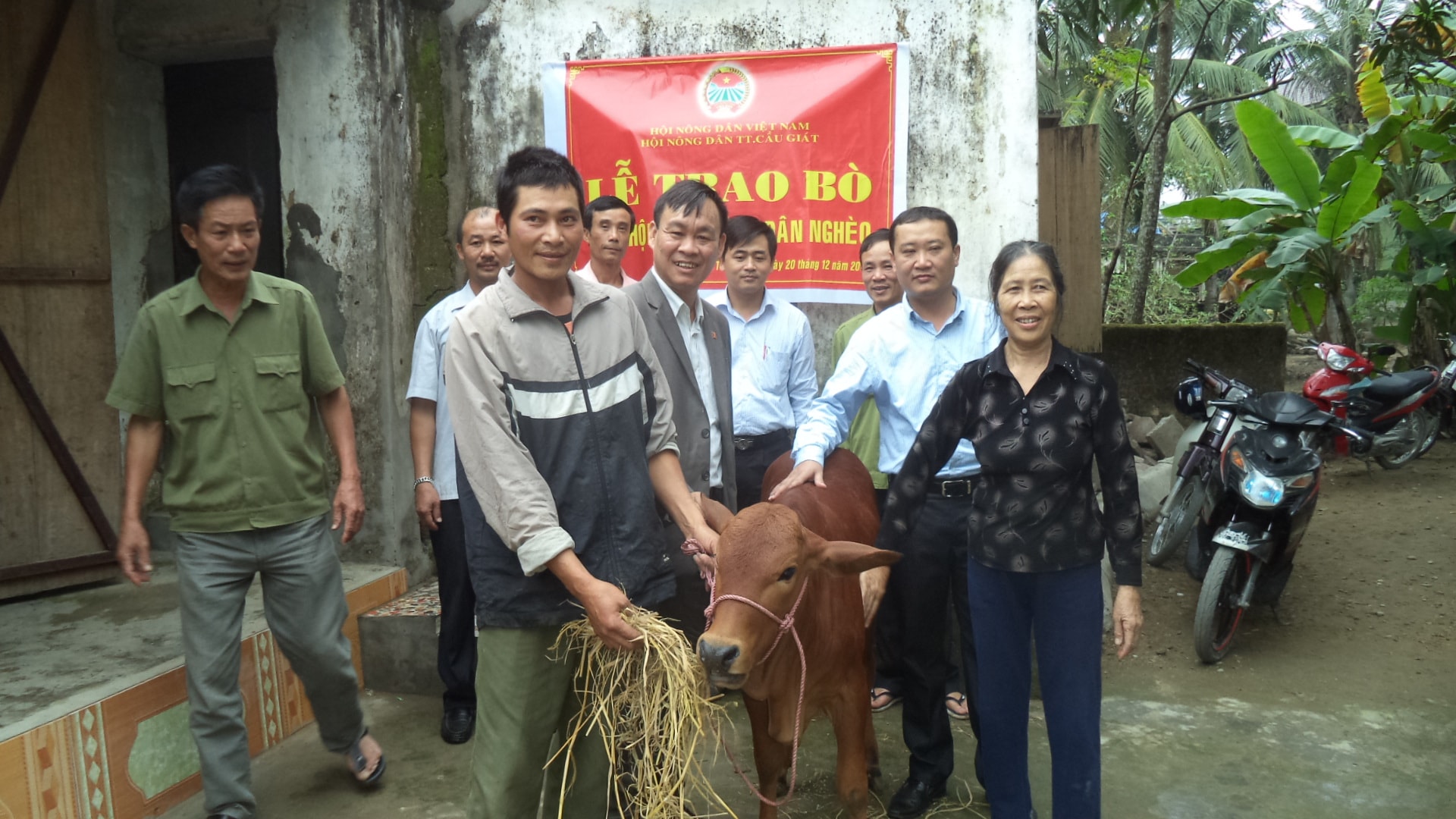 Hội nông dân thị trấn Cầu Giát trao bò cho hộ nghèo