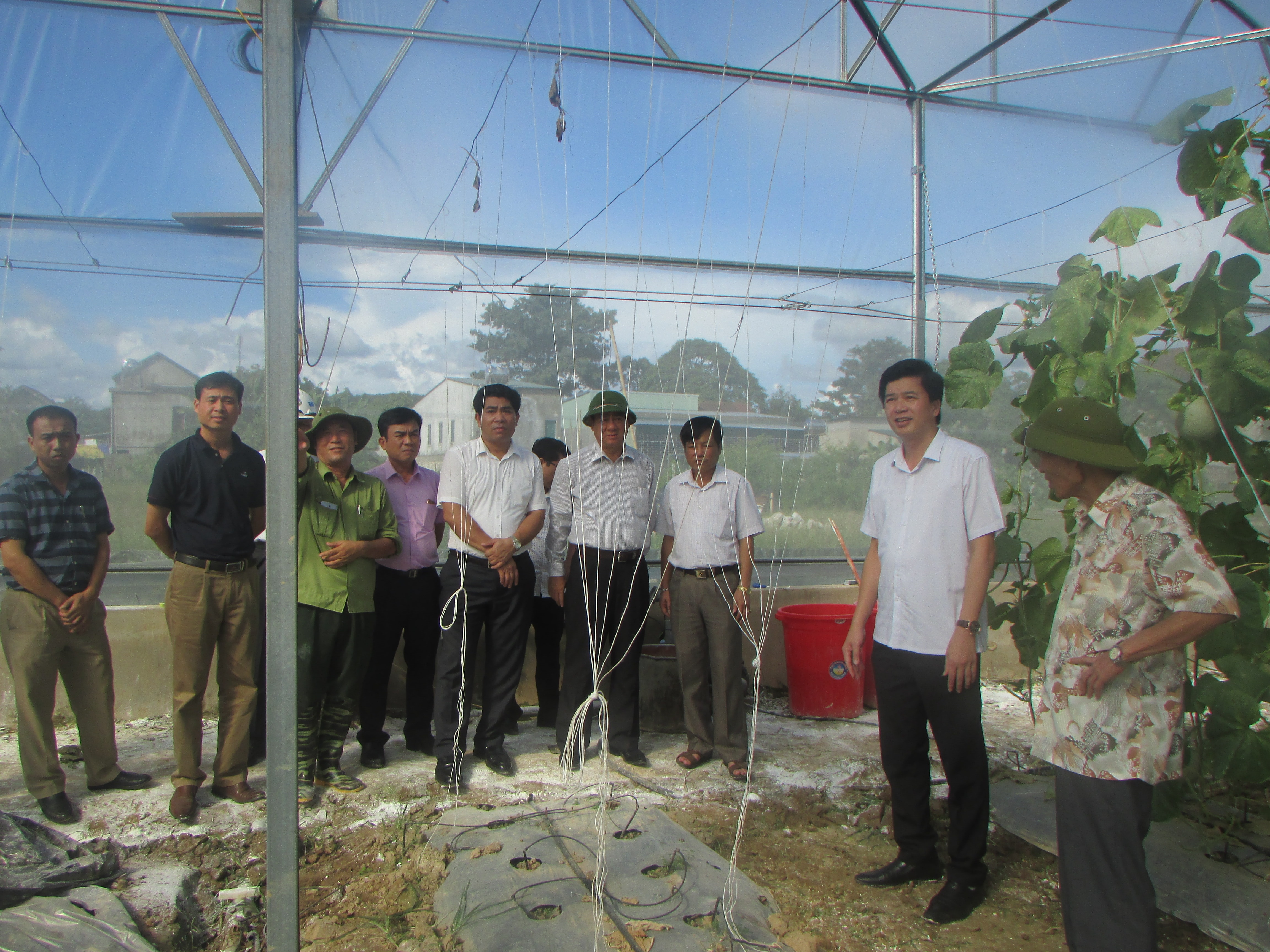 Lãnh đạo huyện Con Cuông thăm mô hình trồng dưa chất lượng cao tại xã Chi Khê. Ảnh: Bá Hậu