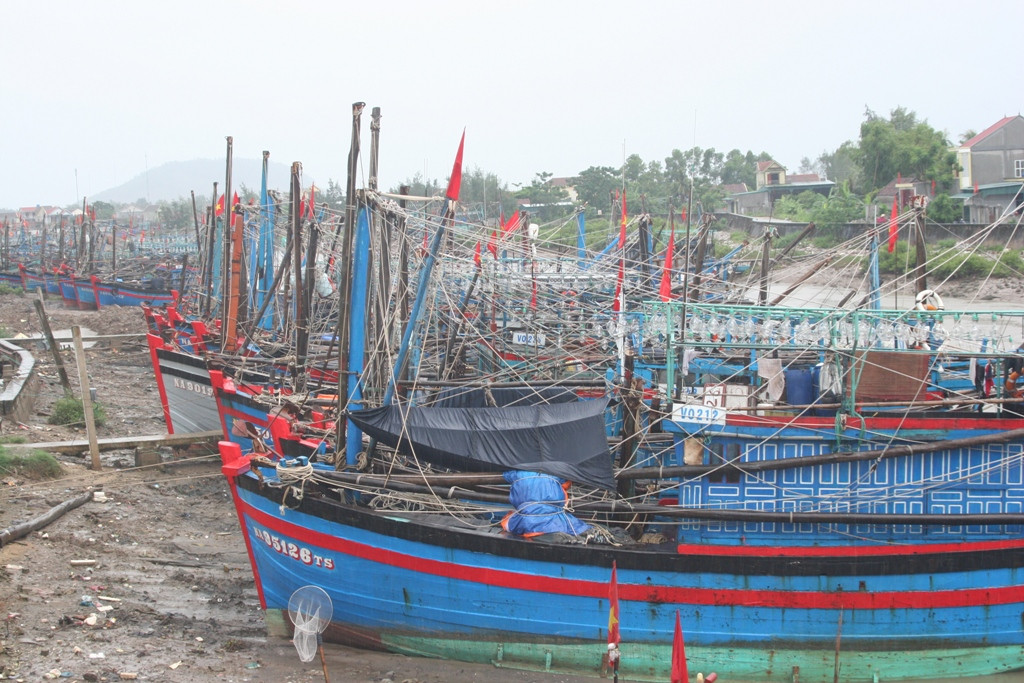Tính đến 10 giờ sáng ngày 16/8, hàng nghìn tàu cá của ngư dân Quỳnh Lưu, T.X Hoàng Mai về bến tránh trú an toàn. Ảnh: Việt Hùng