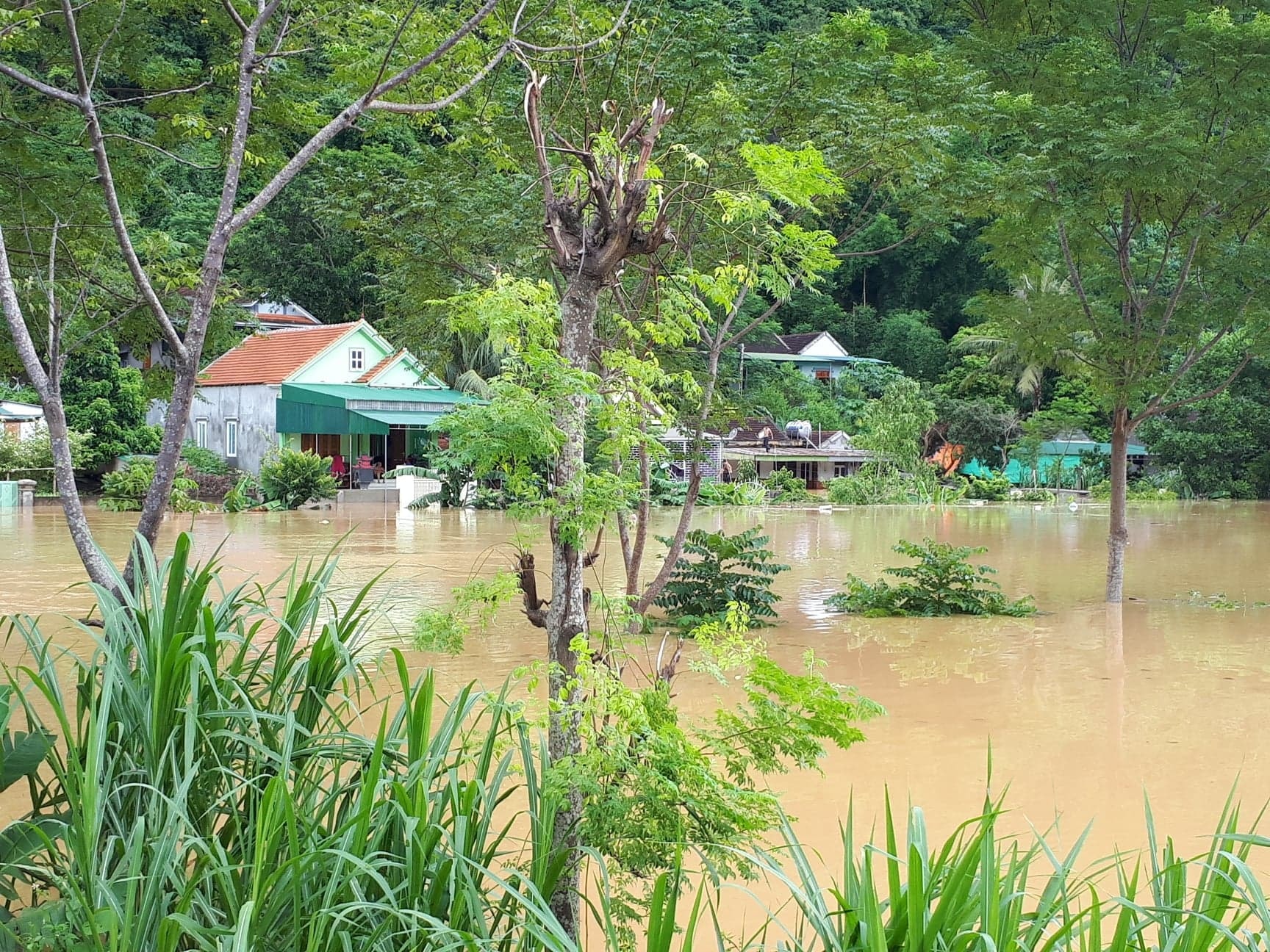 Hơn 30 hộ dân ở xóm 4, khối 6 thị trấn Con Cuông bị nước ngập sâu, có nơi lên đến nửa nhà. Ảnh: Bá Hậu