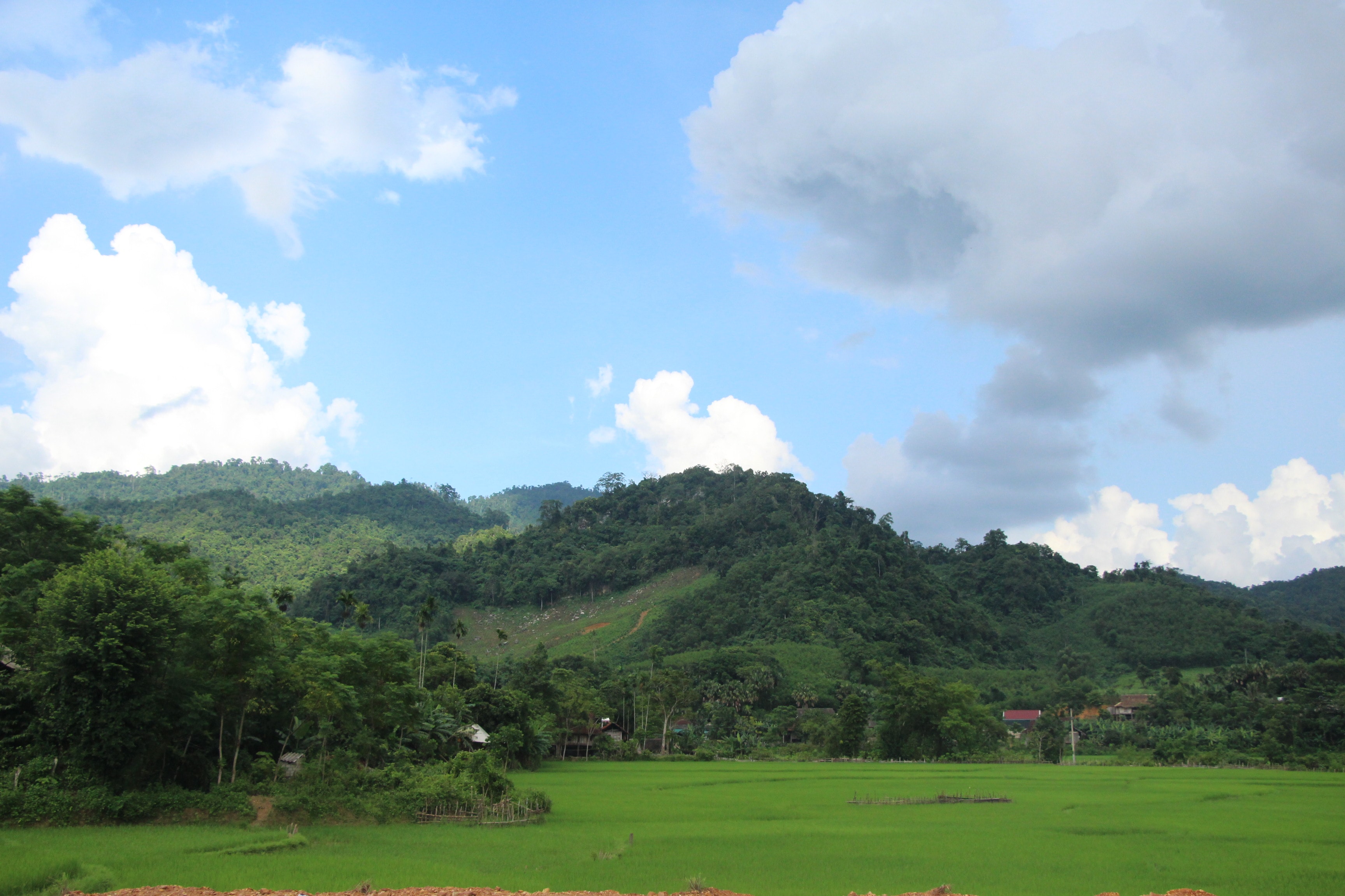 Xã Châu Nga có diện tích 10.000 ha, nhưng có đến hơn 7.500 đất rừng do Lâm trường Quỳ Châu quản lý, cả xã chỉ có 59 ha lúa. Ảnh: Nhật Lân 