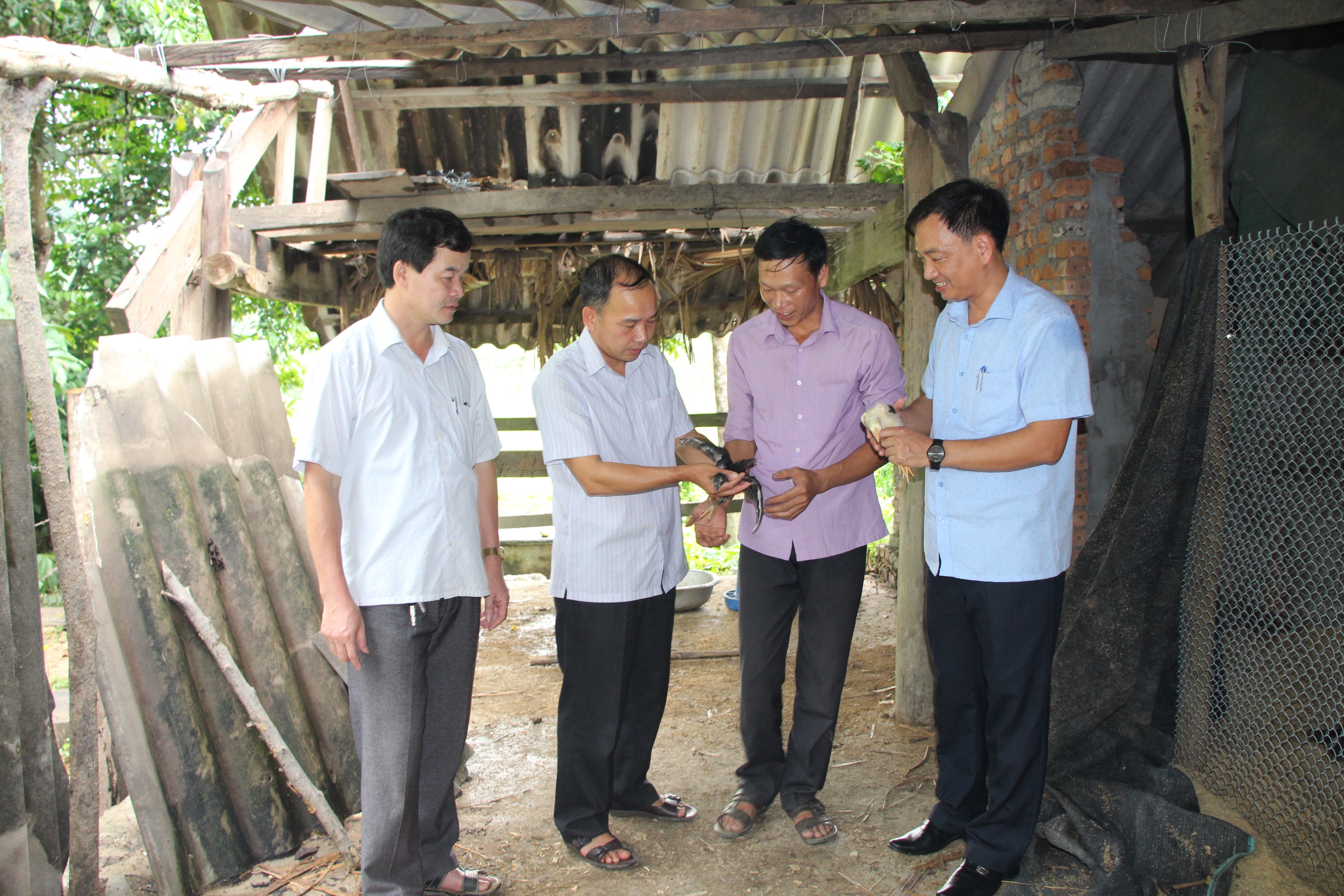 Bí thư Đảng ủy xã Châu Nga Võ Anh Tuấn (thứ hai bên trái), Chủ tịch UBND xã Châu Nga (bìa trái) kiểm tra mô hình nuôi gà của anh Lô Văn Cương. Ảnh: Nhật Lân 