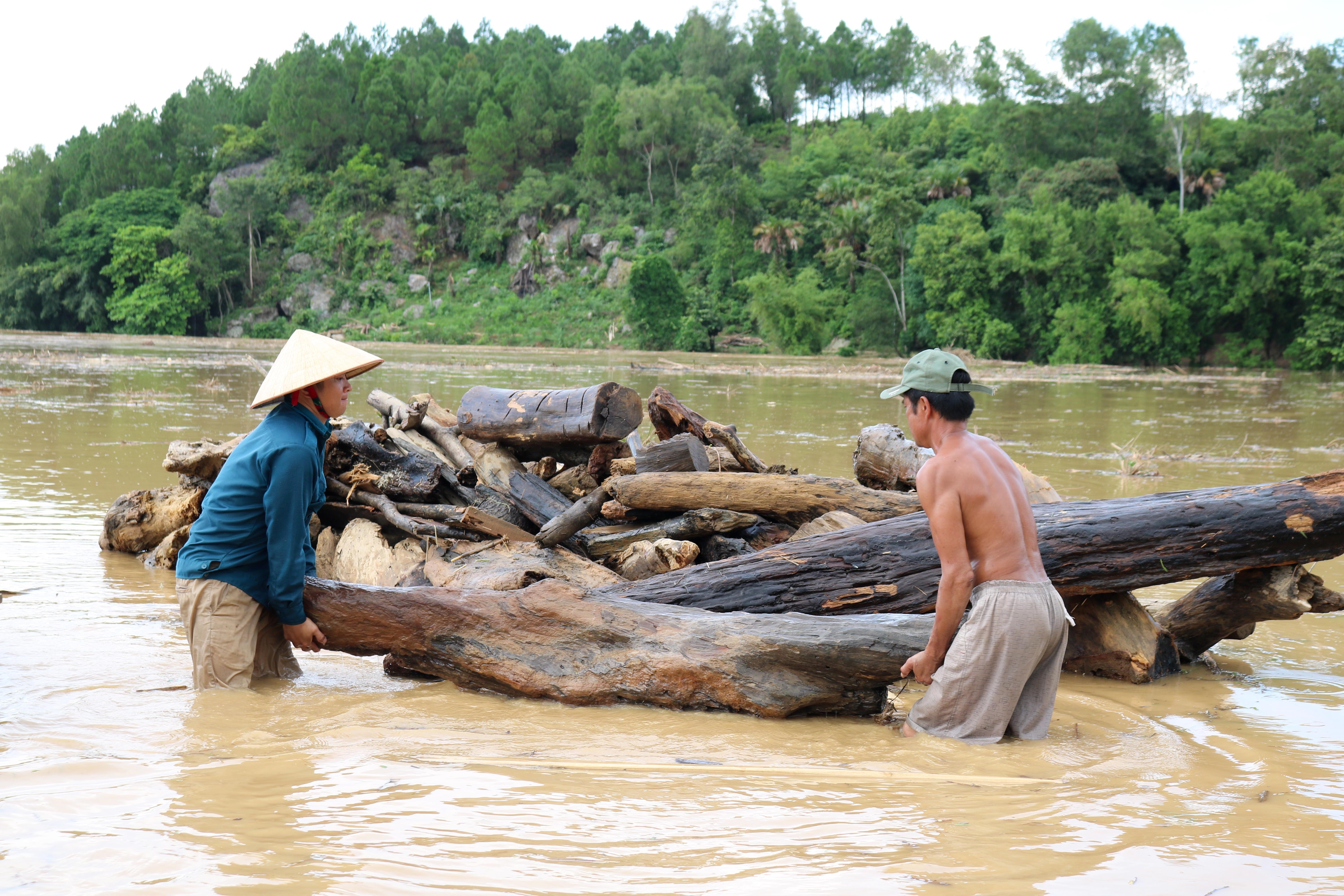 8. Tranh thủ thời gian để “cướp” củi với nước, nên một số người chưa kịp chở củi lên bến, đành xếp củi ven sông.