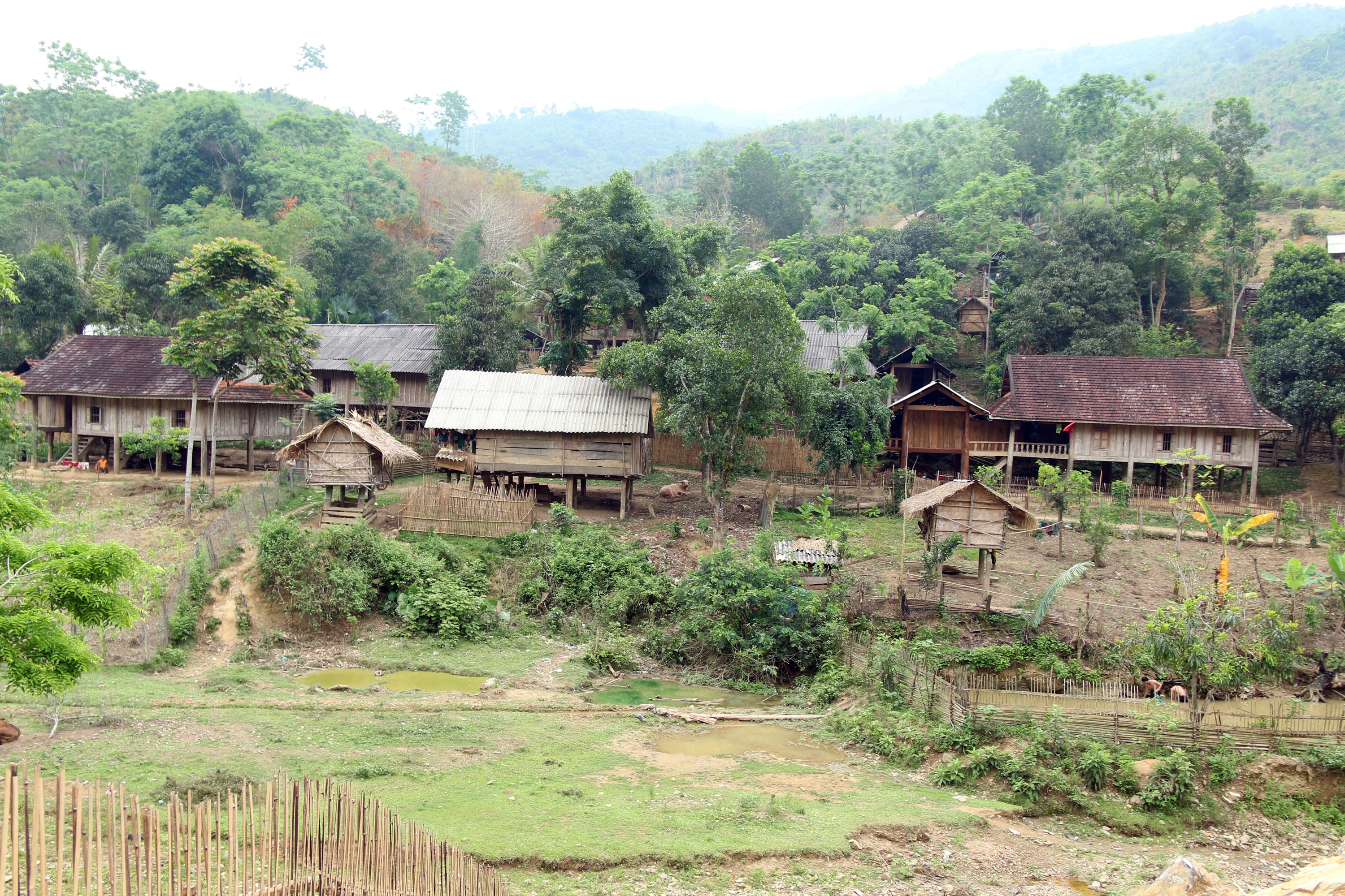 Bản Lưu Thắng (xã Chiêu Lưu), nơi có 2 người chết trong cơn lũ. Ảnh: Thọ Tuân