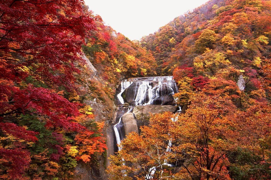 Quyến rũ thác Fukuroda (Nhật Bản) mùa thu. Ảnh: Internet
