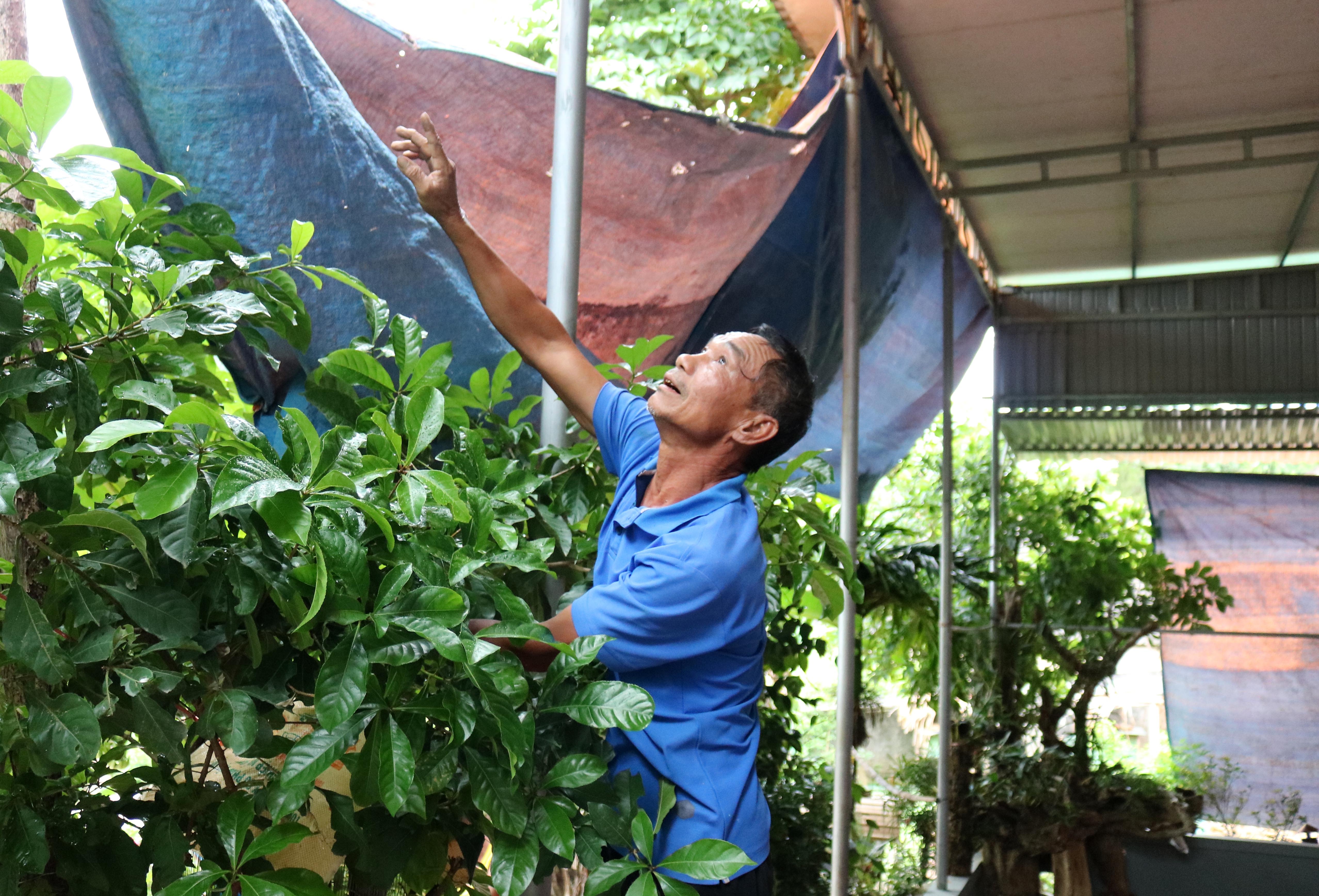 Ong Nguyễn Công Bảy - bố Công Phượng đang tich chuẩn bị mọi thứ để đón bà con đến xem trận đấu tại nhà. Ảnh: Huy Thư