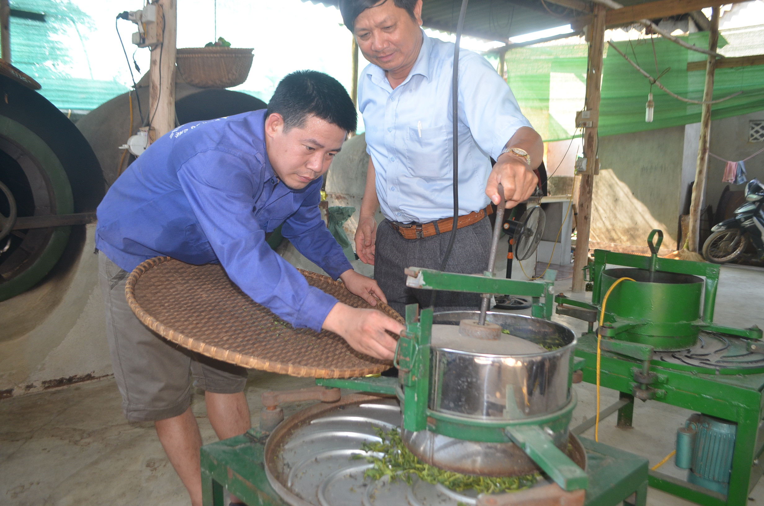 dây chuyền chế biến chè chất lượng cao tại hộ anh Nguyễn Cảnh Tuấn-xóm 4 Hùng Sơn