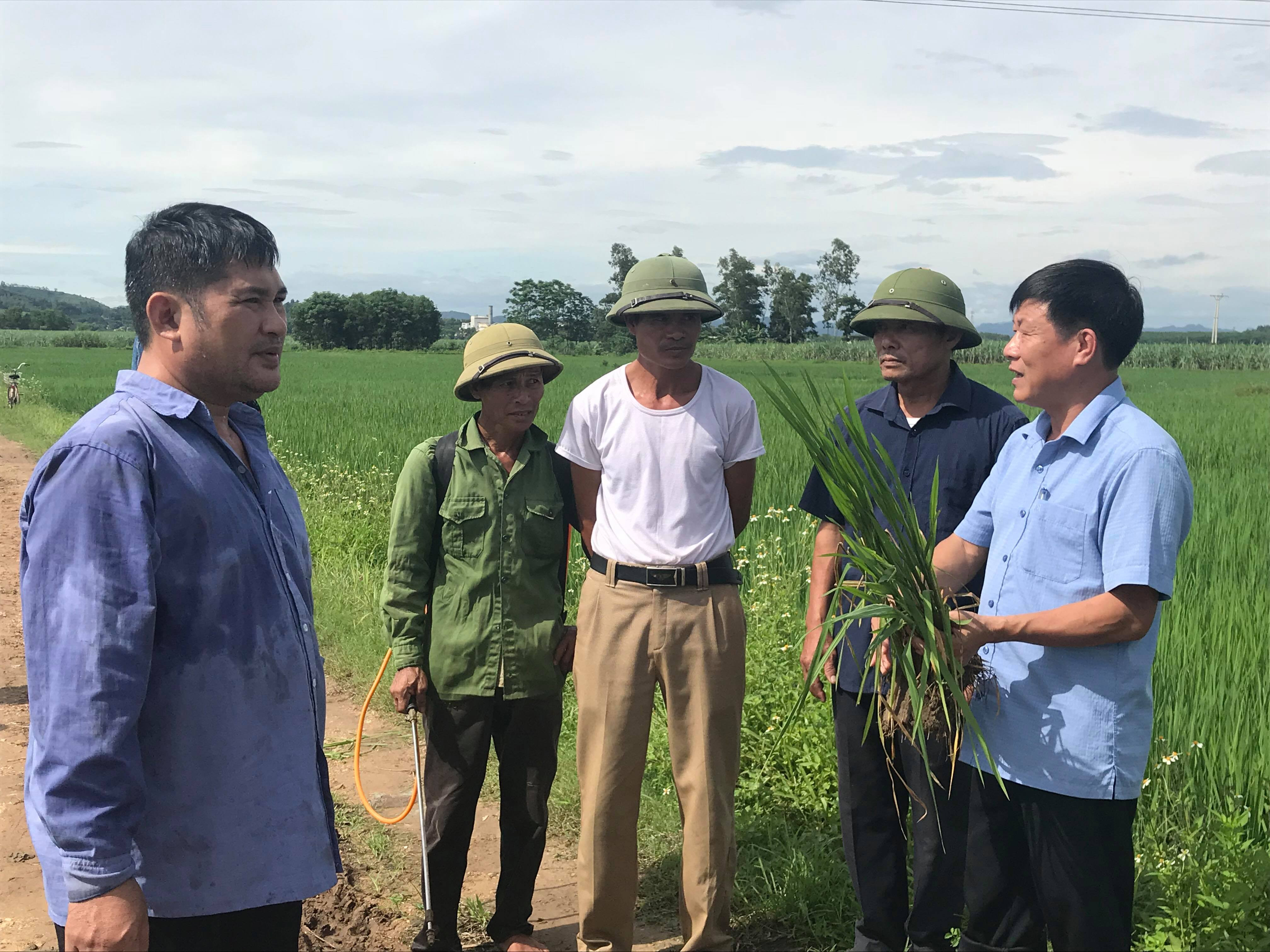 Cán bộ kỹ thuật Trạm trồng trọt và Bảo vệ Thực vật huyện hướng dẫn nông dân xã Nghĩa Hưng nhận biết triệu chứng bệnh và biện pháp phòng trừ. Ảnh: Minh Thái