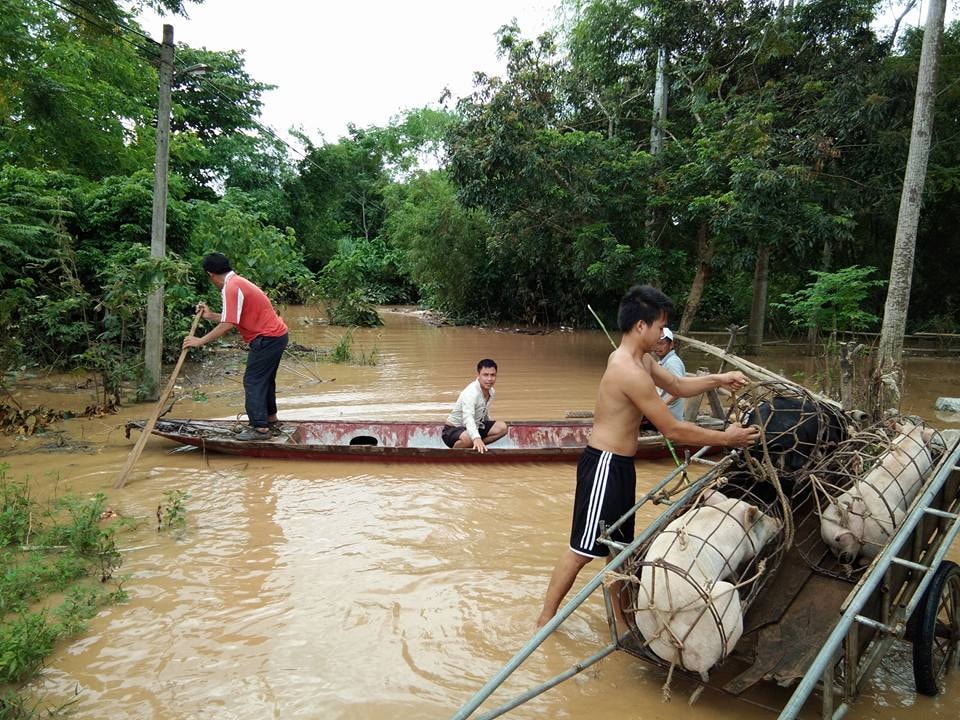 Ở Anh Sơn, trên địa bàn nhiều xã như Thọ Sơn, Thành Sơn, Bình Sơn, Đỉnh Sơn bị ngập lụt nặng nề người dân phải di dời tài sản đến nơi an toàn. Ảnh: thái Hiền