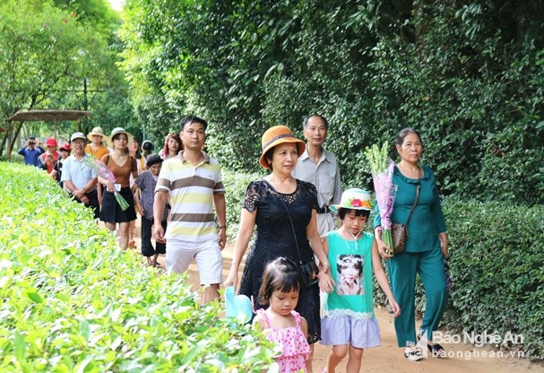 Hàng vạn người dân về thăm quê Bác trong ngày Quốc khánh. Ảnh tư liệu: Huy Thư