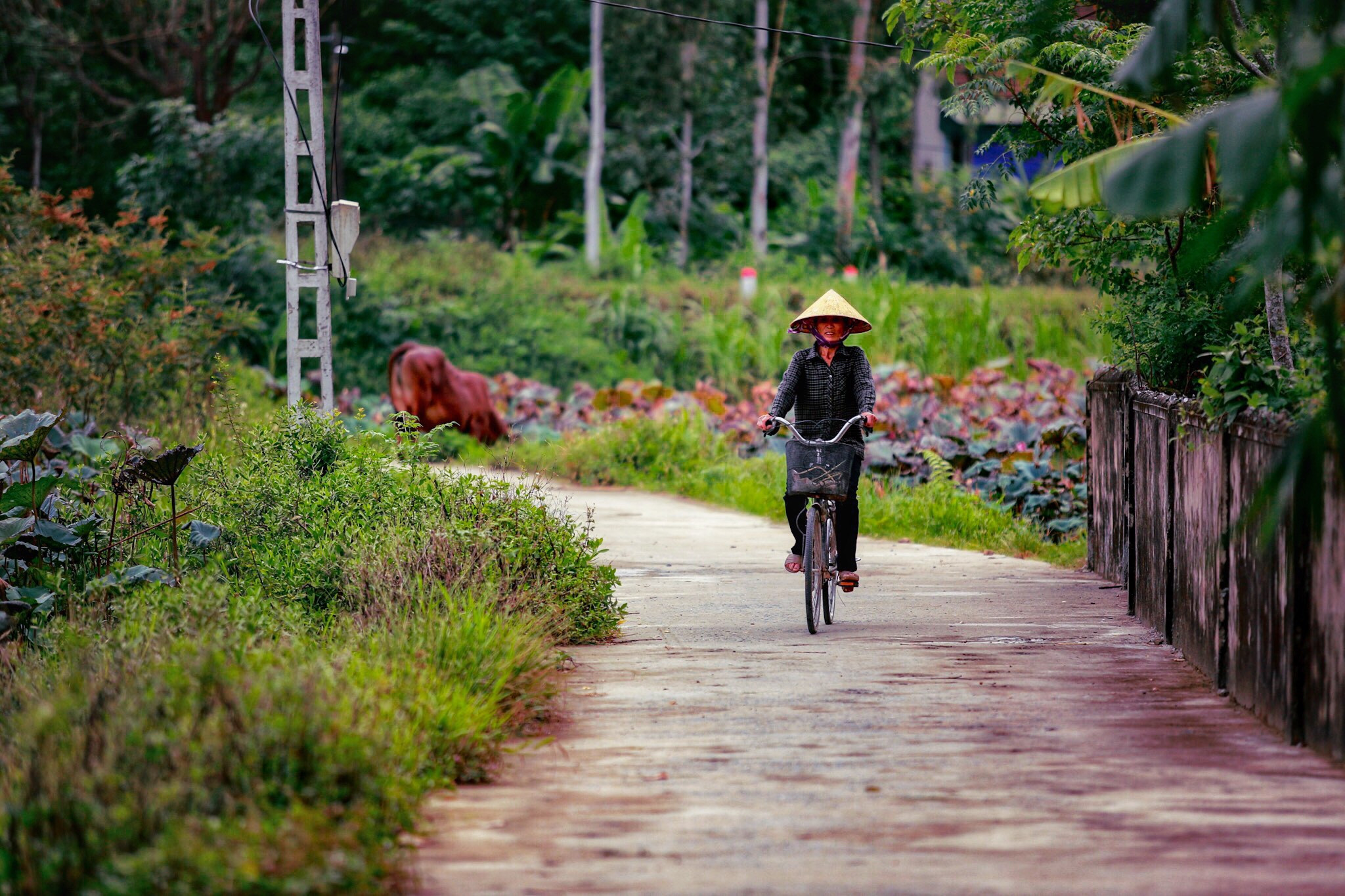 Một góc làng Đông Sơn xưa, Khánh Sơn nay. Ảnh: Hải Vương