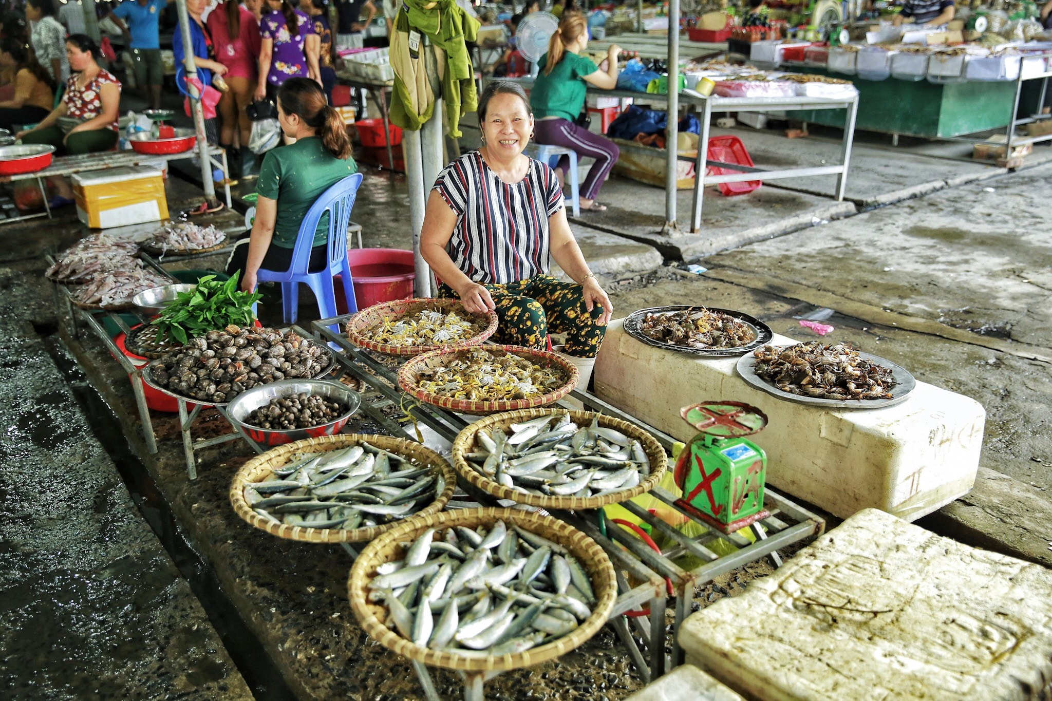 Người mua hàng có thể tìm thấy nhiều mặt hàng đa dạng ở chợ cá, từ cá, ốc, tôm, mực đến cua, ghẹ. Ảnh: Hải Vương