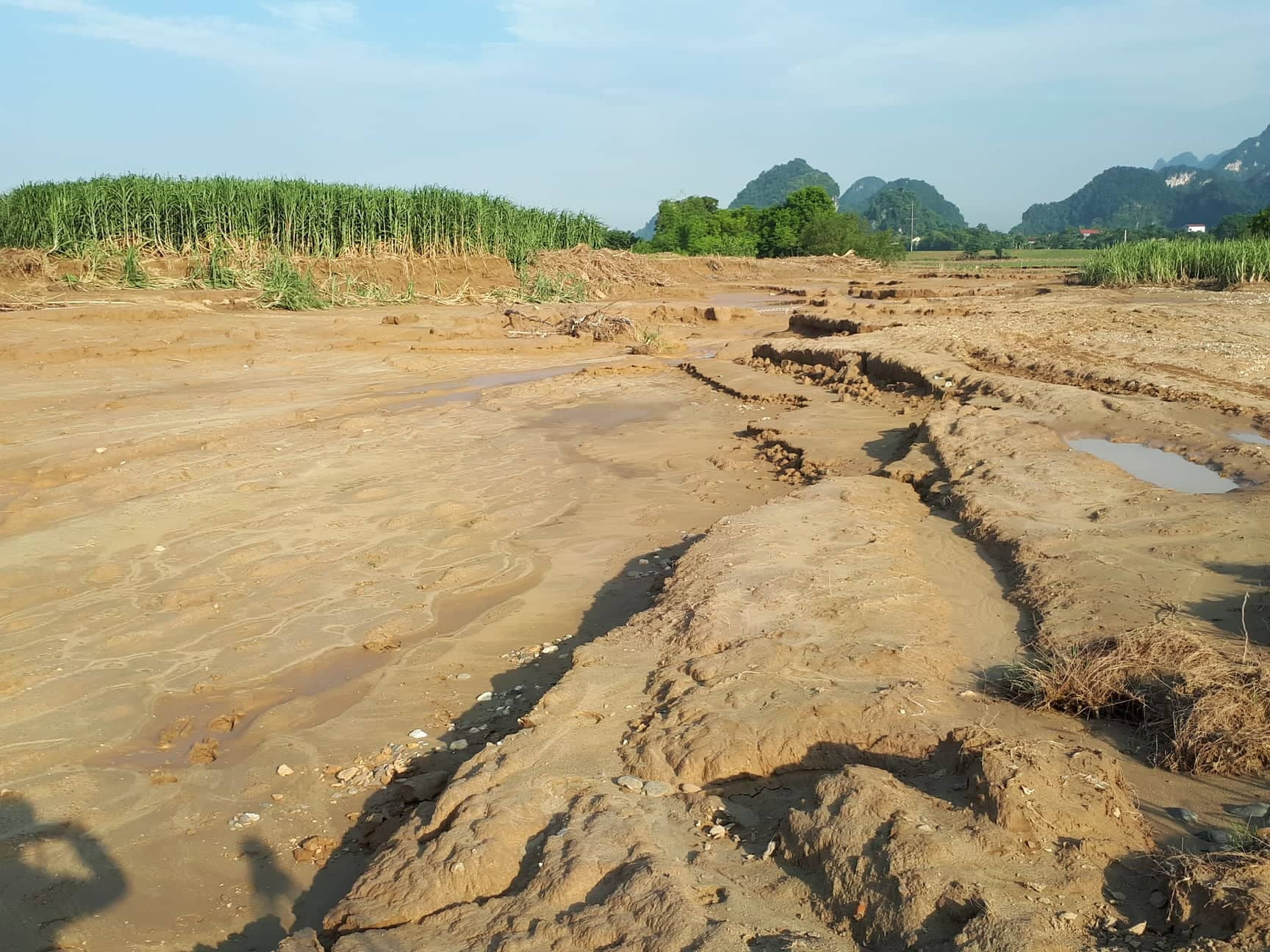 Tình trạng sạt lở bở sông ở nhiều xã tại huyện Con Cuông chưa có dấu hiệu dừng lại Ảnh : Hữu Vi