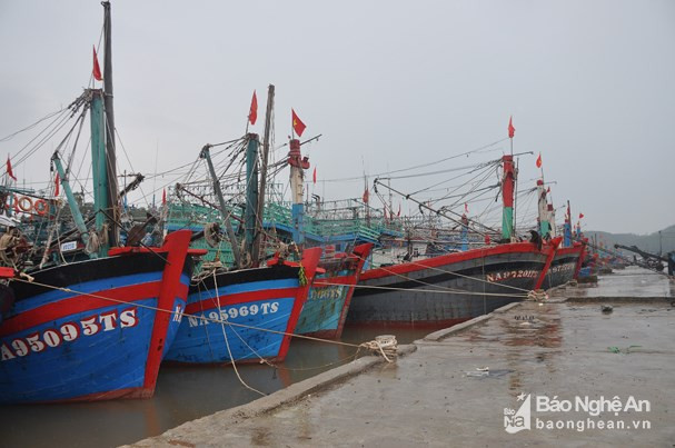 Tàu thuyền Nghệ An về nơi trú ẩn an toàn trước bão số 3. Ảnh tư liệu