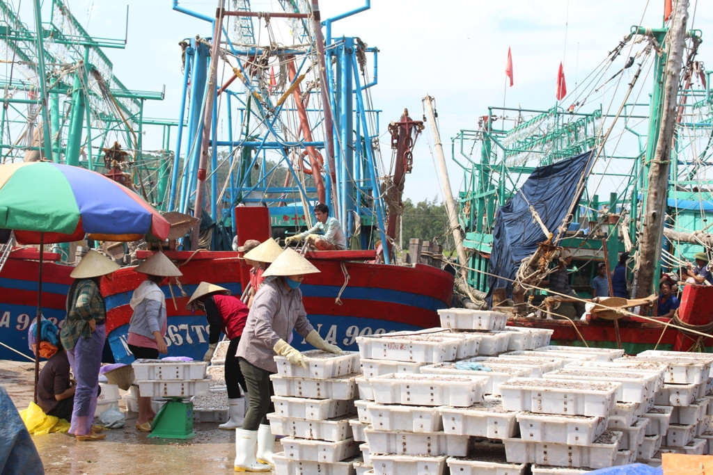 Sáng 15/9, hàng trăm tàu cá ngư dân Quỳnh Lưu (Nghệ An) về cập bến trú bão Mangkhut. Ảnh: Việt Hùng