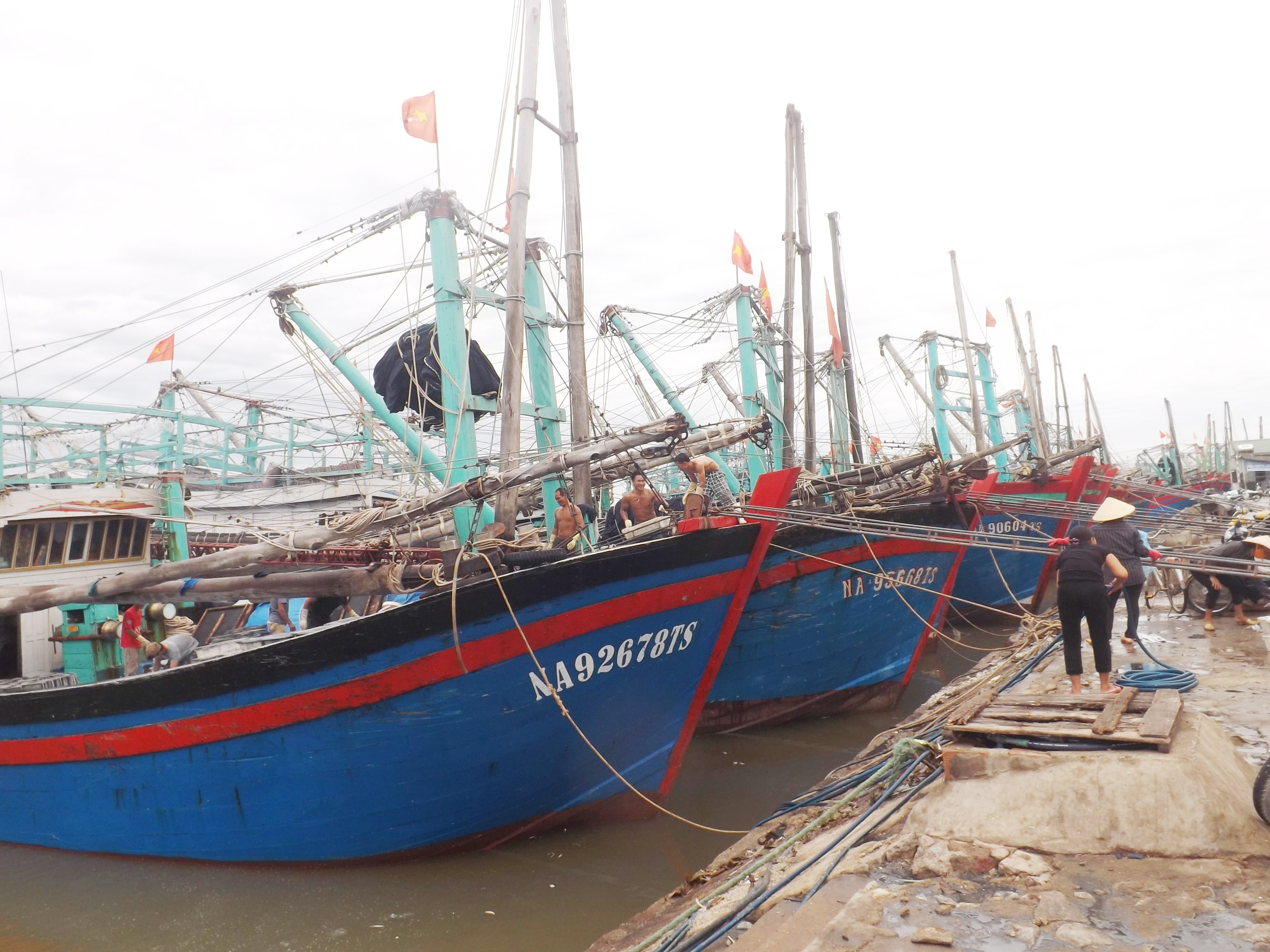 Hơn 200 tàu cá của ngư dân Quỳnh Lưu đã về bờ tránh bão, khoảng 400 tàu đang trên đường về tránh trú bão. Ảnh Việt Hùng