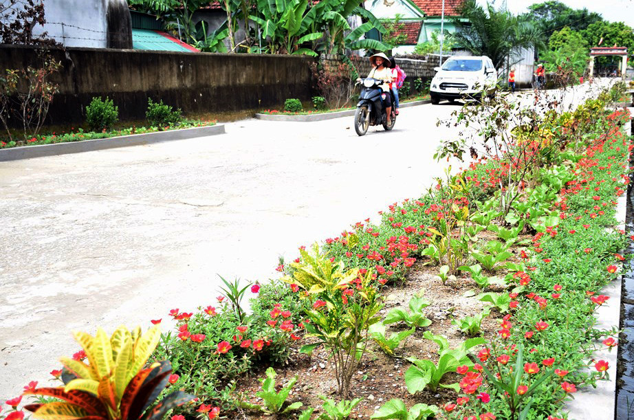 Ở Sơn Thành đâu đâu cũng thấy những bồn hoa nối dài trên các nẻo đường. Ảnh: Xuân Hoàng