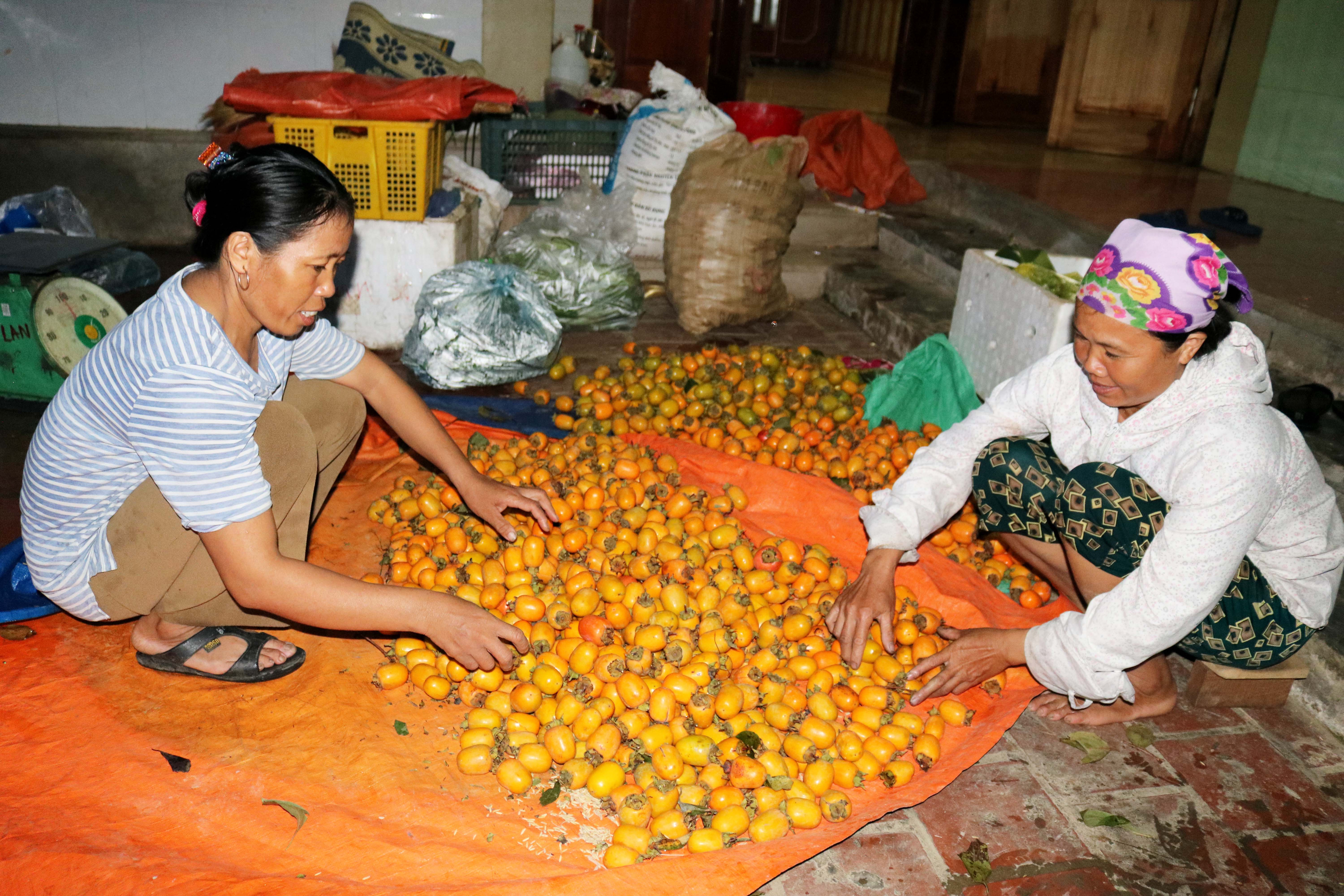 Tùy loại hồng mà được ủ khô hoặc ngâm trong nước (khoảng 3 - 4 ngày) để làm chín. Hồng ủ thì chín mềm, chuyển màu đỏ thắm, còn hồng ngâm thì vẫn giòn, giữ màu vàng tươi. Những năm qua, hồng Nam Anh đã được chuyển đi tiêu thụ ở khắp nơi, nhất là TP Vinh và các tỉnh, thành phía bắc.