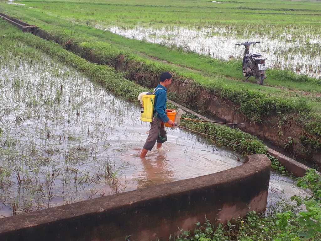 Có mặt tại cánh đồng lúa thuộc địa phận xã Quỳnh Vinh (T.X Hoàng Mai), chúng tôi phát hiện nhiều người dân đang sử dụng kích điện đánh bắt cá. Chỉ với 500.000 - 700.000 đồng, người dân có thể sở hữu thiết bị đánh cá này. Ảnh: Tân Bảo