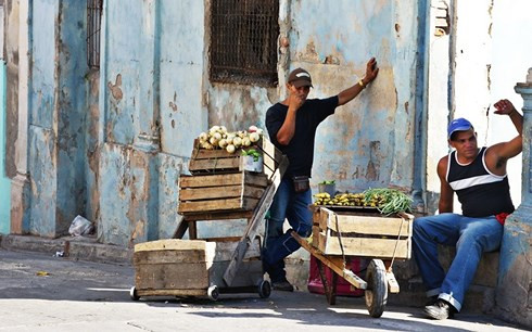 cuba keu goi phat trien kinh te, bot phu thuoc nhap khau hinh 1