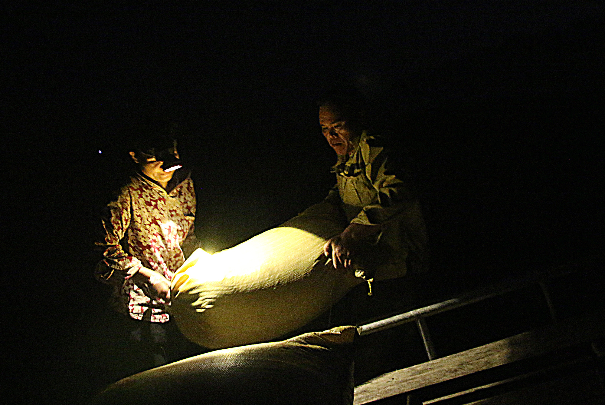 Một cặp vợ chồng chuyển lúa lên xe lôi trong đêm tối Ảnh : Hữu Vi