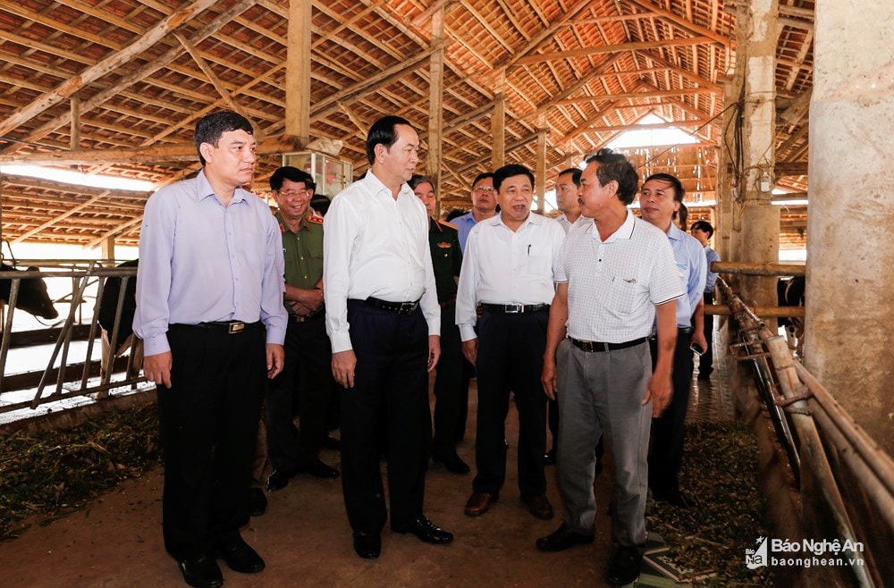 Chủ tịch nước Trần Đại Quang và đoàn công tác thăm trại nuôi bò sữa của gia đình ông Ngô Xuân Ngoạn, xã Nghĩa Đồng (Tân Kỳ). Ảnh: Đức Anh