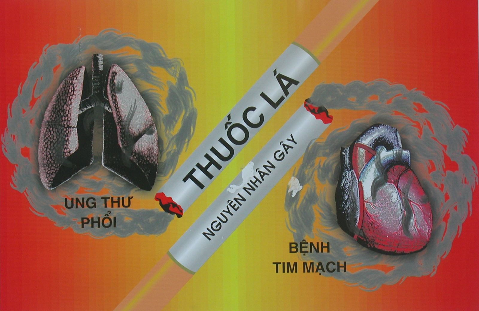 Khói thuốc lá chứa khí CO. Hít phải khí CO sẽ làm lượng oxi trong máu bị sụt giảm. Tim của bạn phải hoạt động mạnh hơn bình thường để bù đắp lượng oxy, để lại nhiều biến chứng nguy hiểm theo thời gian.