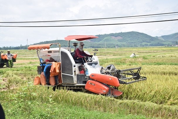 Vụ việc bắt đầu từ chuyện cạnh tranh máy gặt.