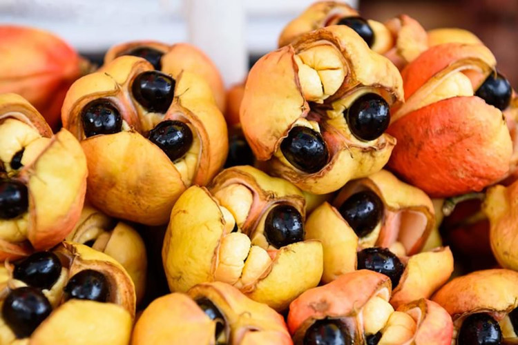 Quả Ackee: Rất được ưa thích ở Jamaica, trái cây ackee chỉ được ăn khi chín và được ăn đúng cách. Ăn quá sớm và chất độc trong trái cây có thể gây nôn trầm trọng và thậm chí có thể dẫn đến tử vong.