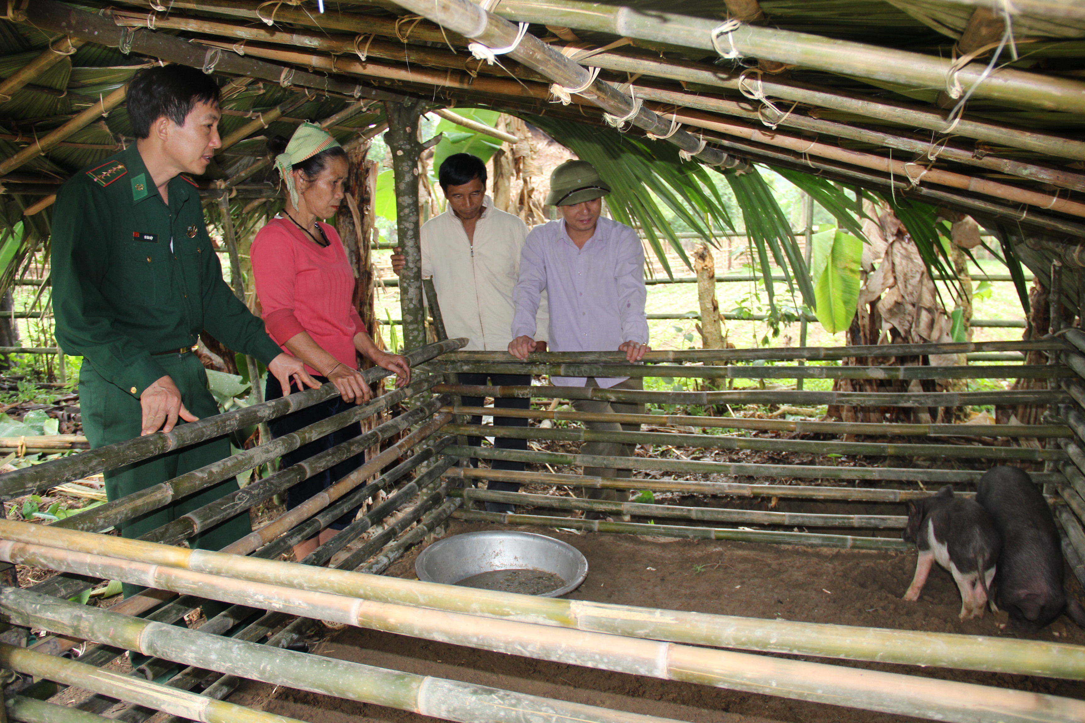 Ban Dân vận Huyện ủy Con Cuông tặng lợn giống cho hộ bà Hà Thị Tuất bản Cò Phạt xã Môn Sơn. Ảnh: Hoài Thu