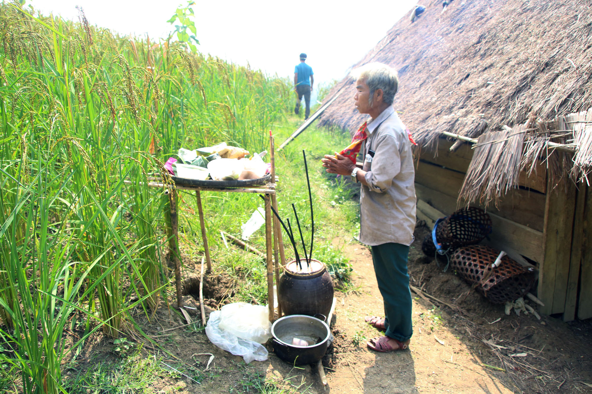 Thầy mo Cụt Thanh Hải làm lễ cúng rẫy giúp một người cùng bản trên rẫy lúa Ảnh : hữu Vi