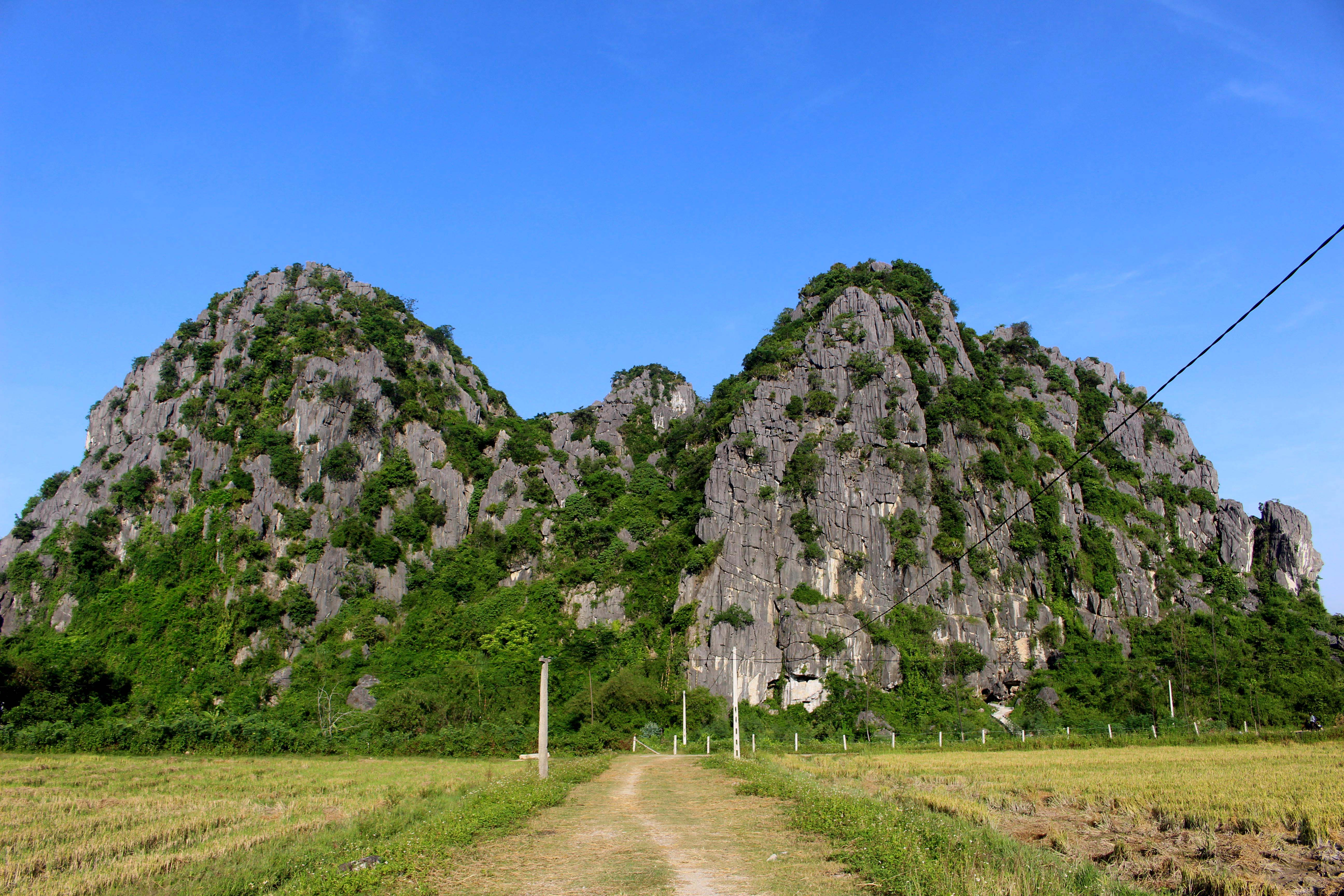 Chùa Thiên Tạo nằm trong lèn Vũ Kỳ ở xã Phúc Thành, huyện Yên Thành là một ngôi chùa cổ độc đáo. Lèn Vũ Kỳ là quần thể núi đá vôi tuyệt đẹp giáp ranh giữa hai xã Đồng Thành và Phúc Thành. 