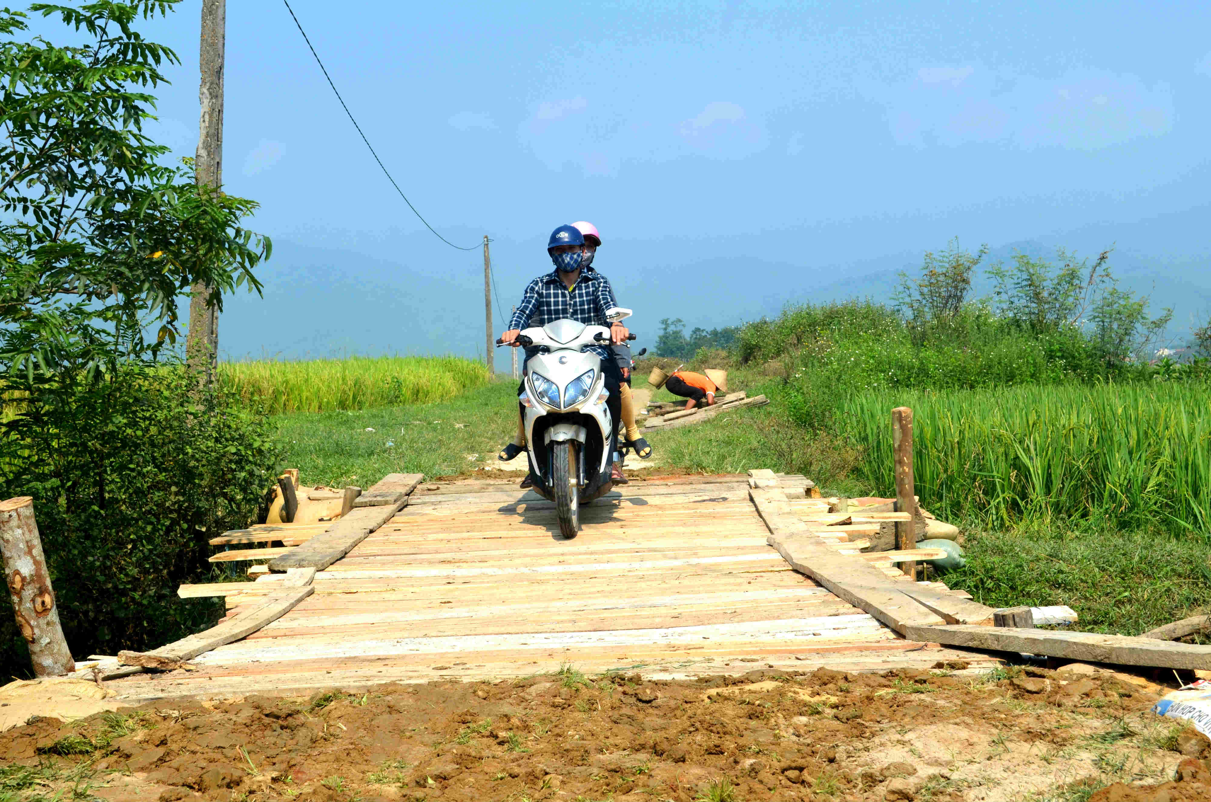 Hang tram dan ban reo cao Nghe An lam cau dan sinh sau lu-hinh-anh-10