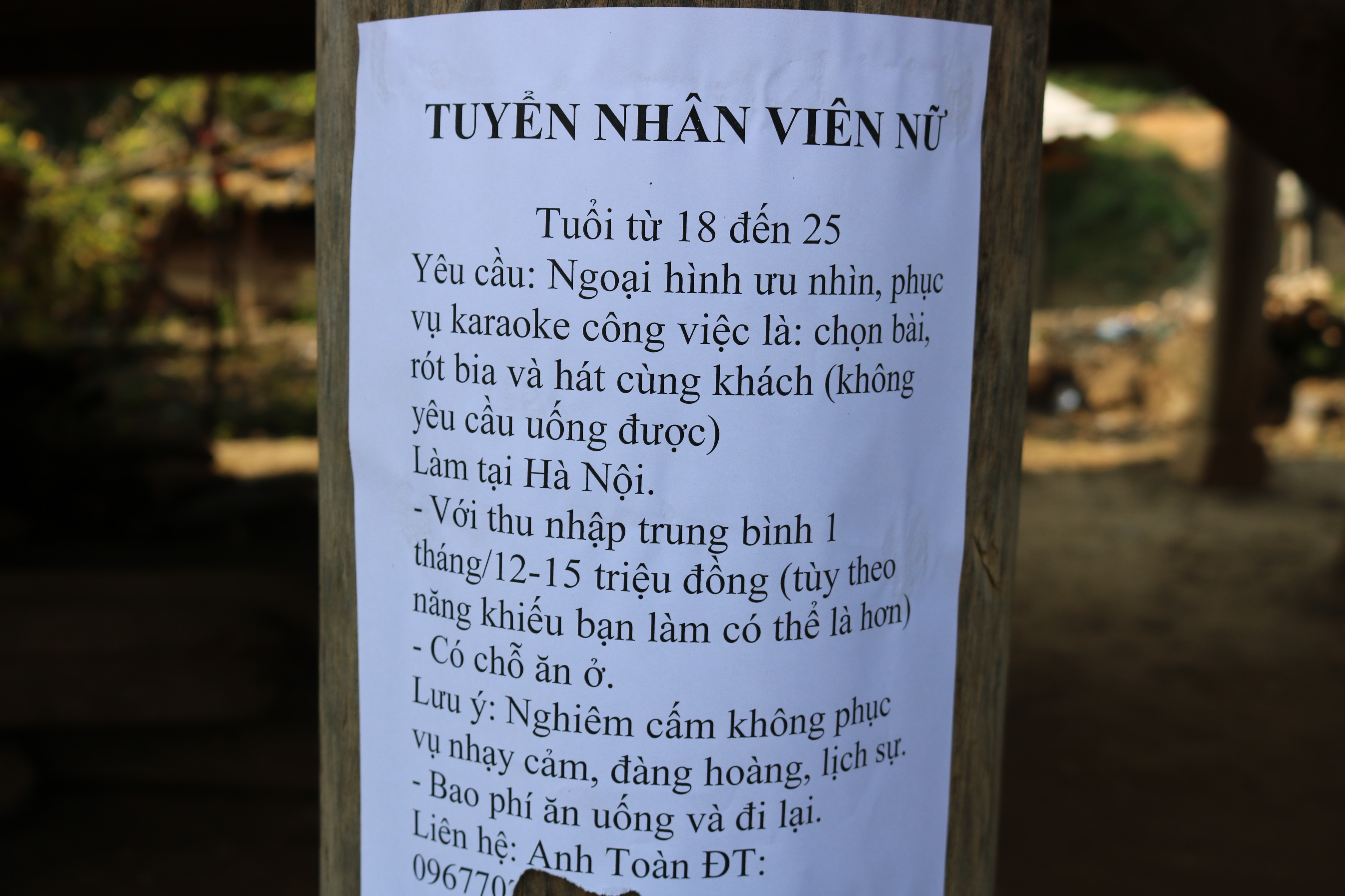 Chính quyền địa phương cho biết sẽ khuyến cáo người dân không nghe theo lời dụ dỗ từ các tờ tơi trái phép. Ảnh: Lữ Phú