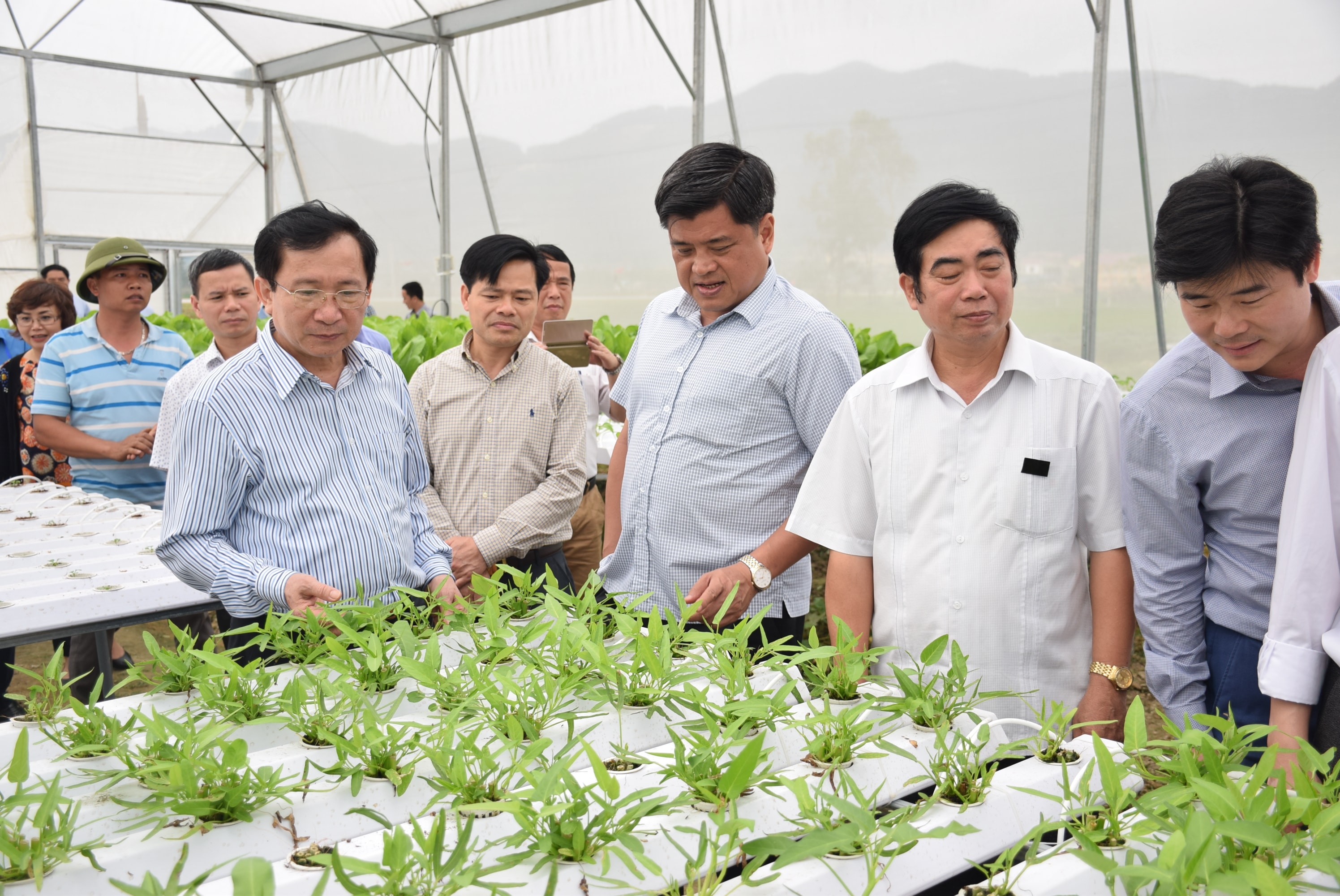 Đồng chí Đinh Viết Hồng - Phó Chủ tịch UBND tỉnh cùng các ngành kiểm tra phong trào xây dựng NTM ở Nam Đàn. Ảnh: Xuân Hoàng