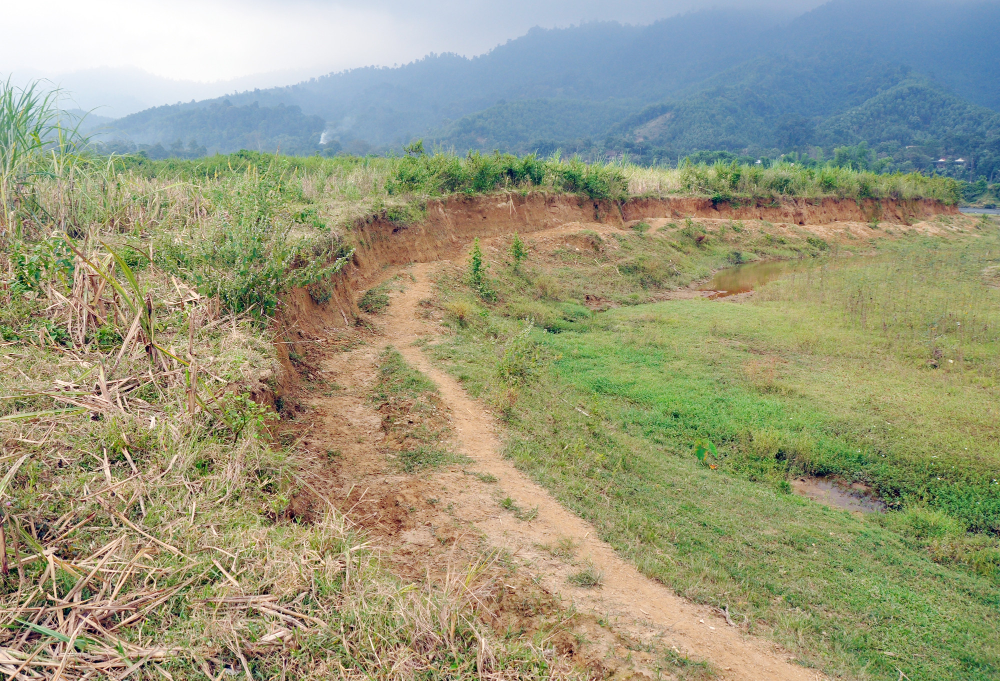 Hơn 10 ha đất sản xuất của bản Thái Hòa, xã Môn Sơn (Con Cuông) nằm bên tả ngạn sông Giăng được bà con nông dân trồng mía nguyên liệu. Tuy nhiên, những năm gần đây, dòng chảy sông Giăng biến đổi gây tình trạng sạt lở nghiêm trọng, nhất là mùa mưa lũ. Tính từ năm 2015 đến nay, khoảng 2 ha đất đã bị dòng nước 